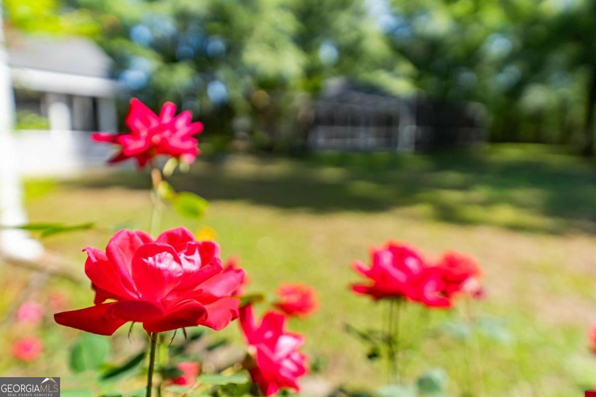 2865 Rincon Stillwell Road Rincon - Photo 31