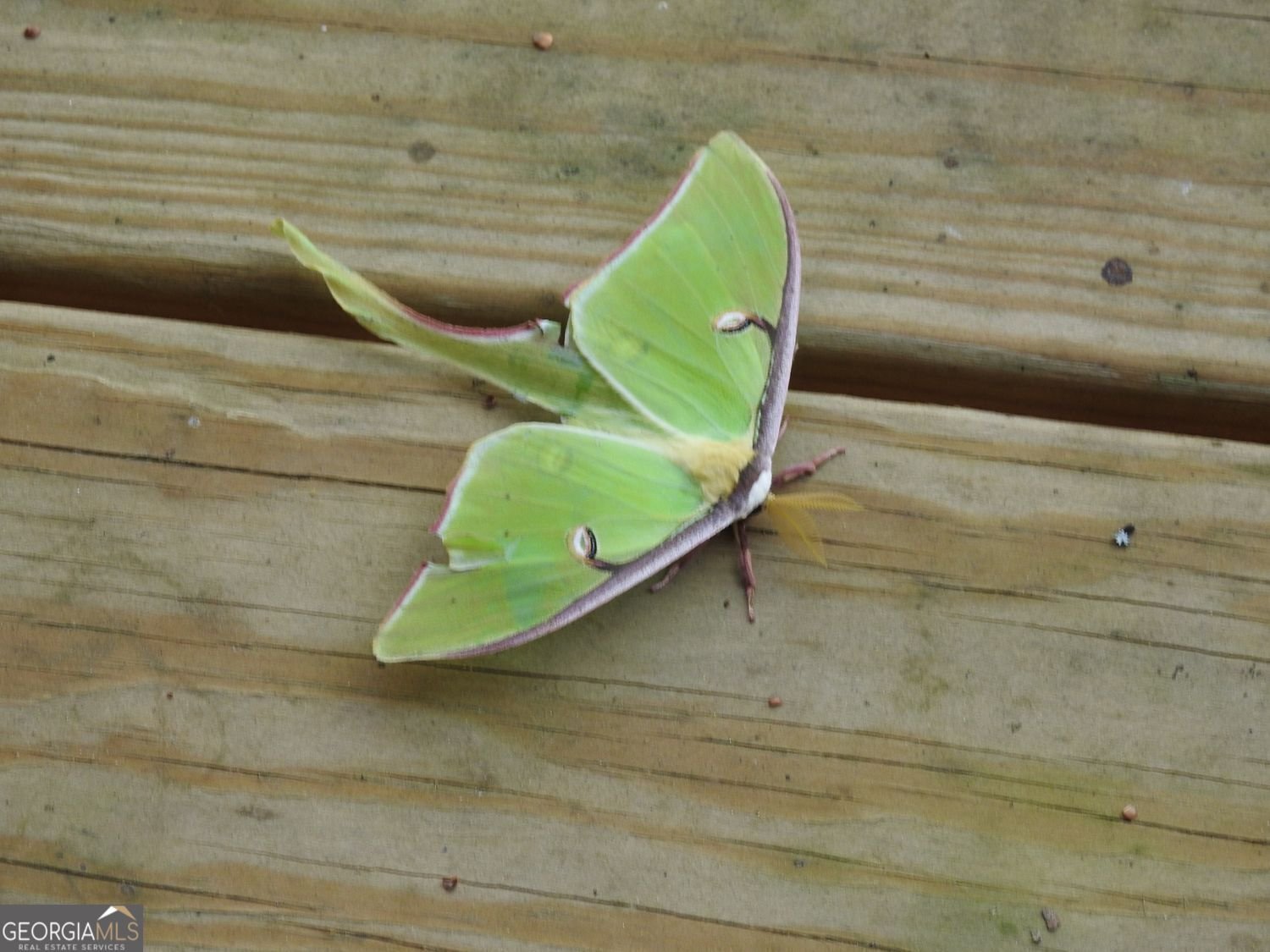 55 Deer Watch Lane Blue Ridge - Photo 32