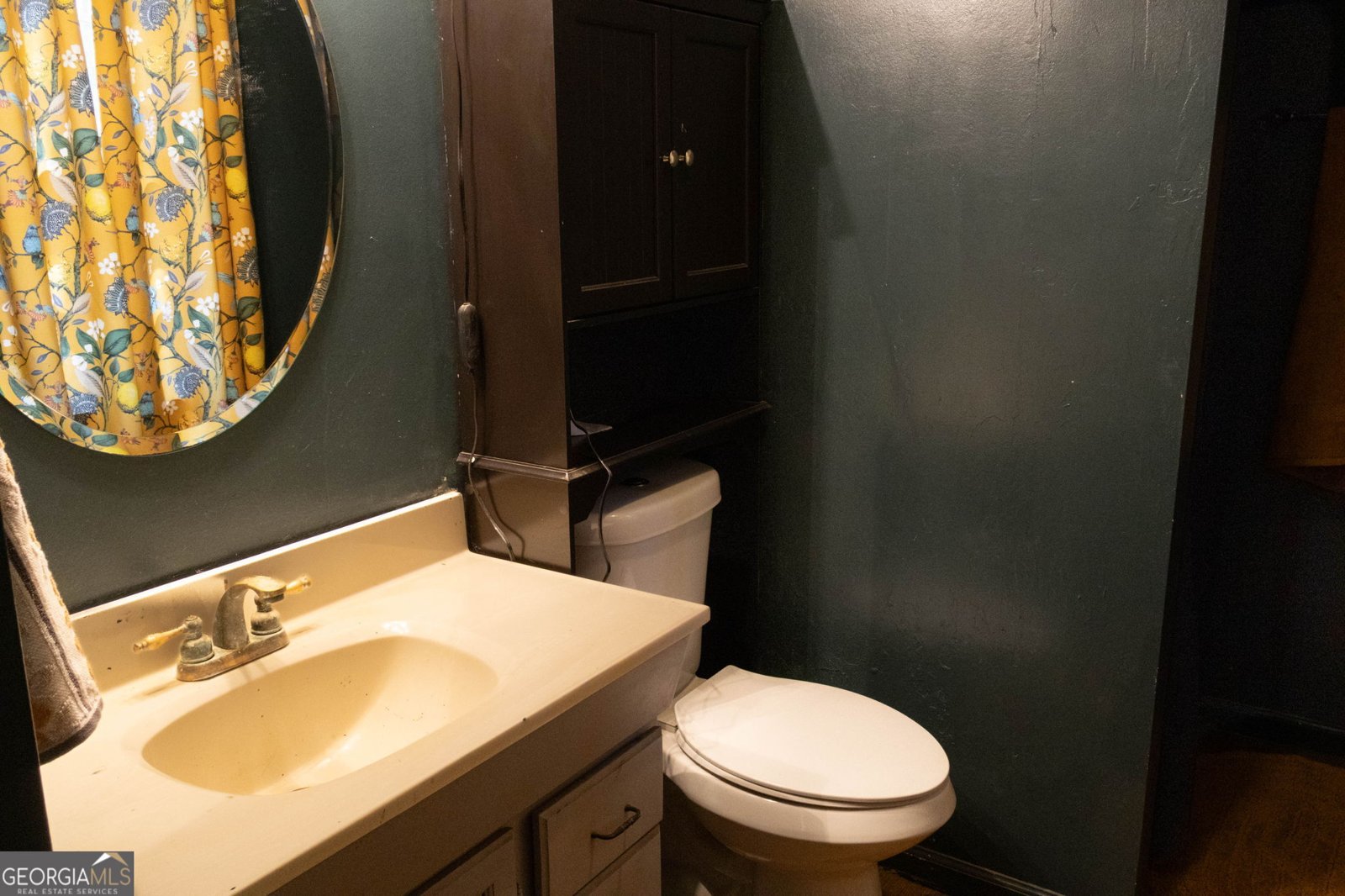 249 Boca Hills Road Sautee Nacoochee - Photo 15