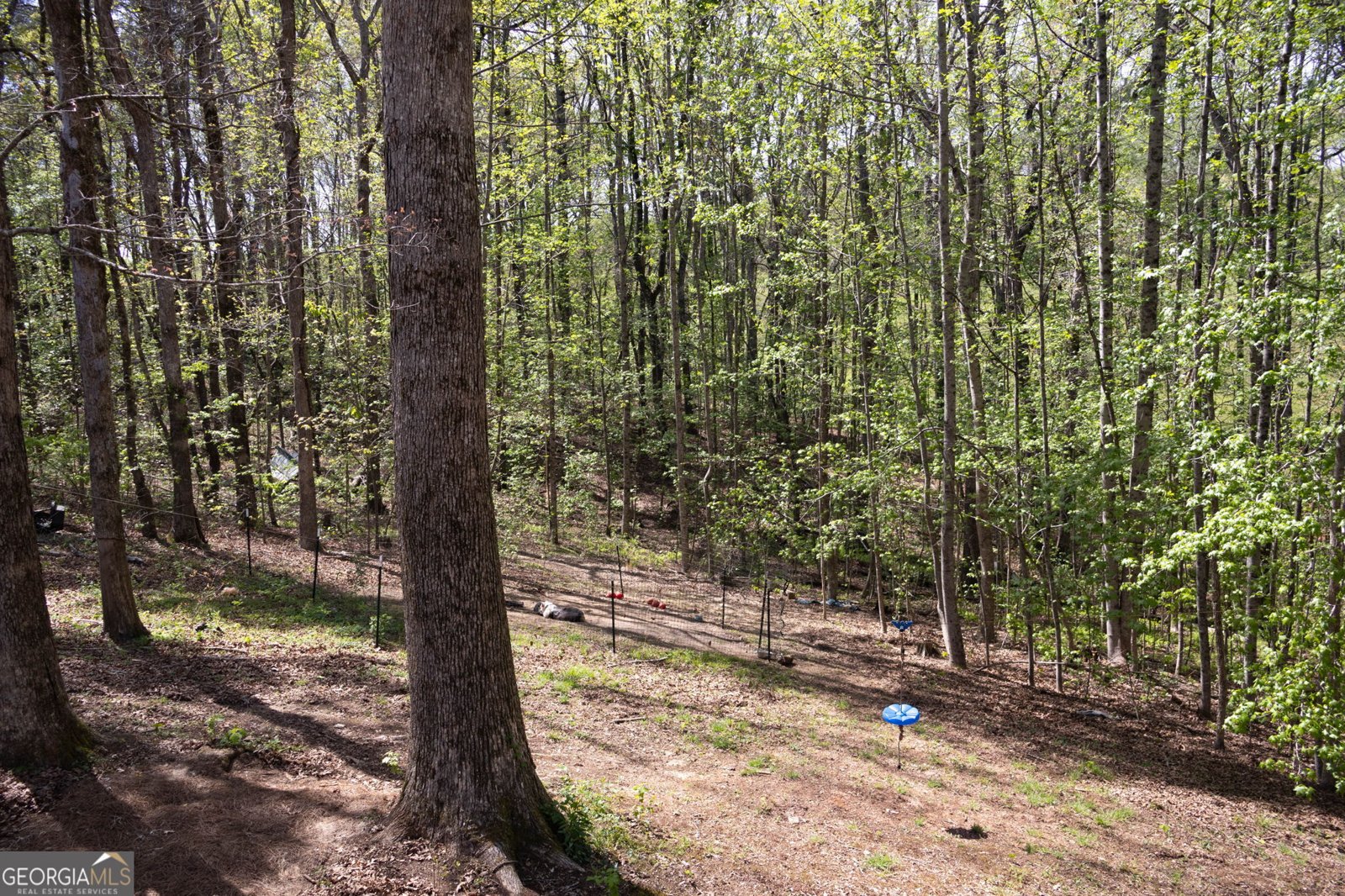 249 Boca Hills Road Sautee Nacoochee - Photo 26