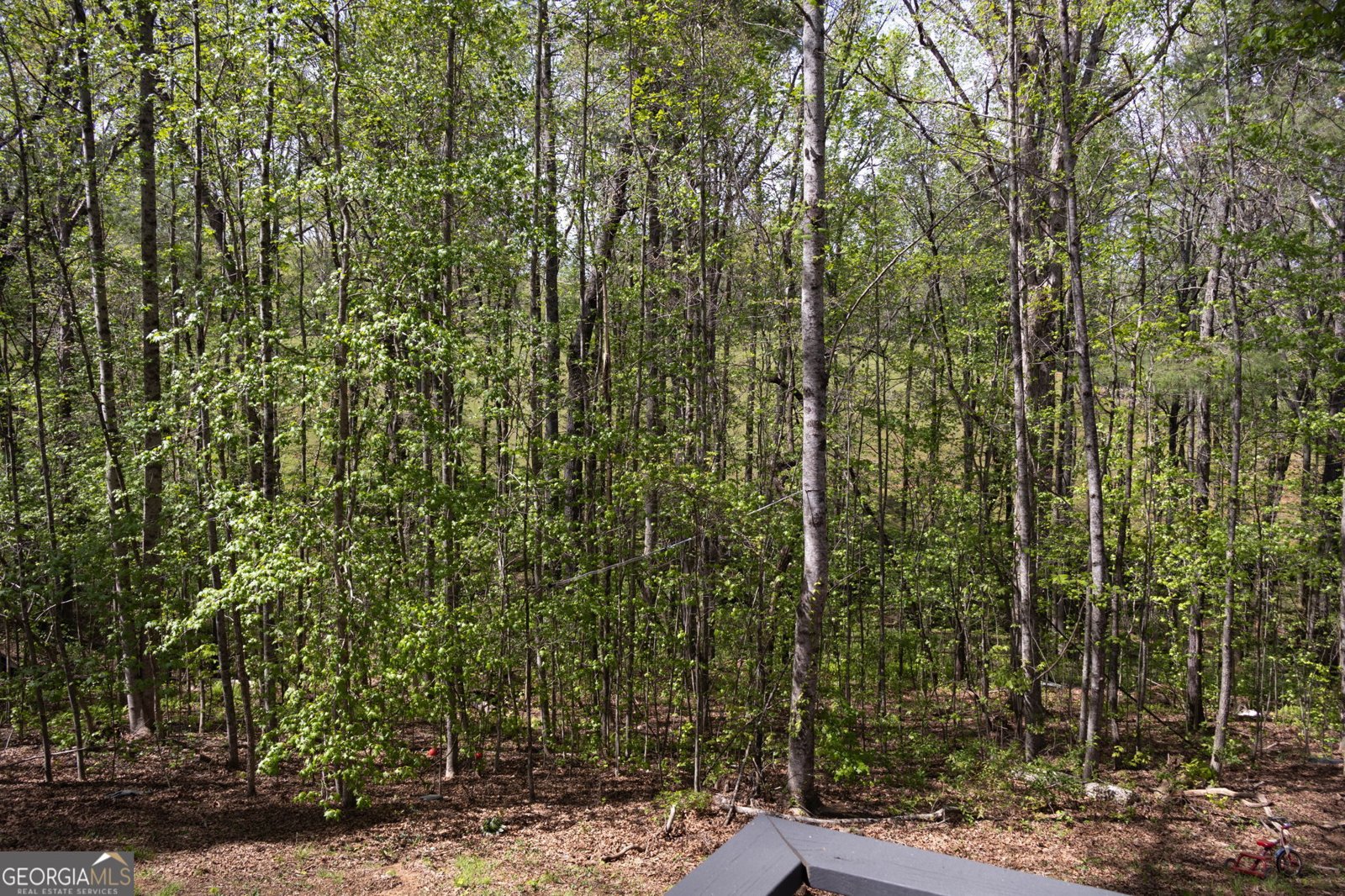 249 Boca Hills Road Sautee Nacoochee - Photo 27