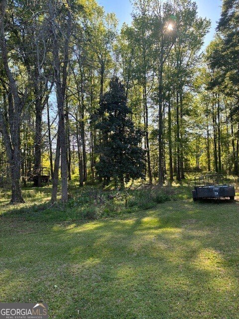 74 Willow Dell Drive Senoia - Photo 39