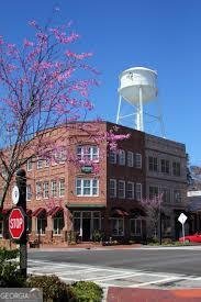 74 Willow Dell Drive Senoia - Photo 41