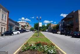 74 Willow Dell Drive Senoia - Photo 42