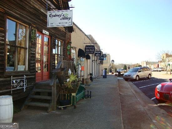 74 Willow Dell Drive Senoia - Photo 43