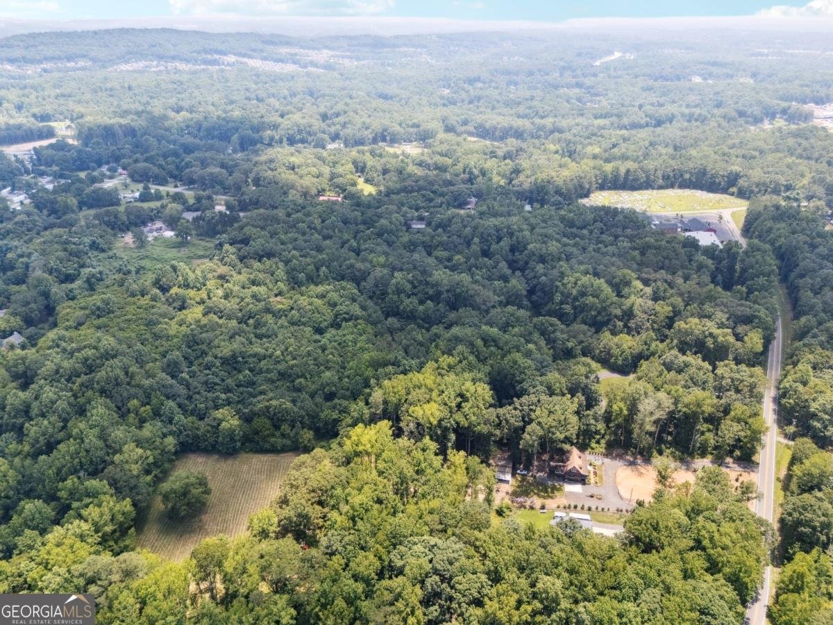 2795 Roper Road Cumming - Photo 44