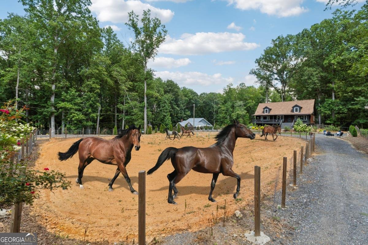 2795 Roper Road Cumming - Photo 46