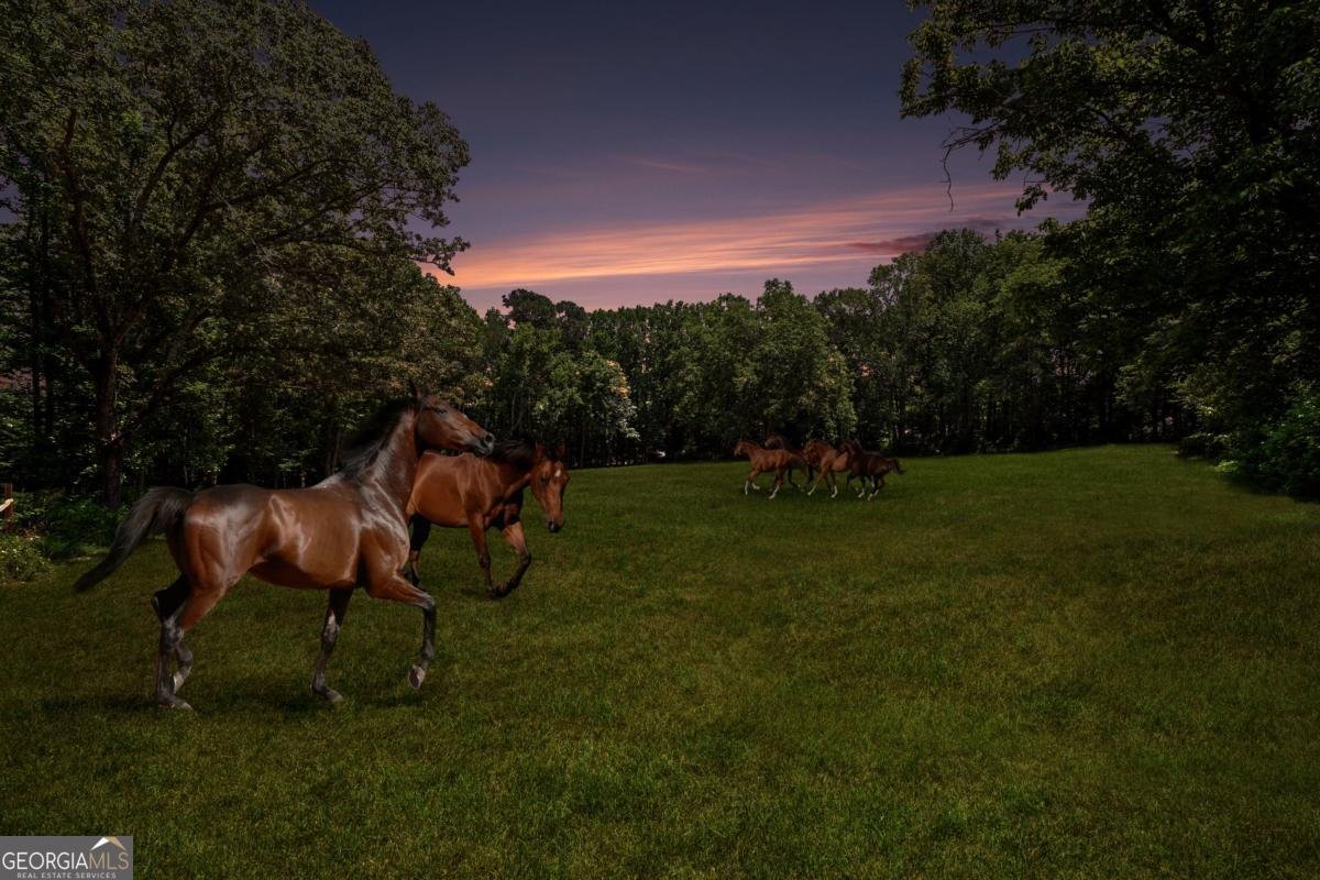 2795 Roper Road Cumming - Photo 48