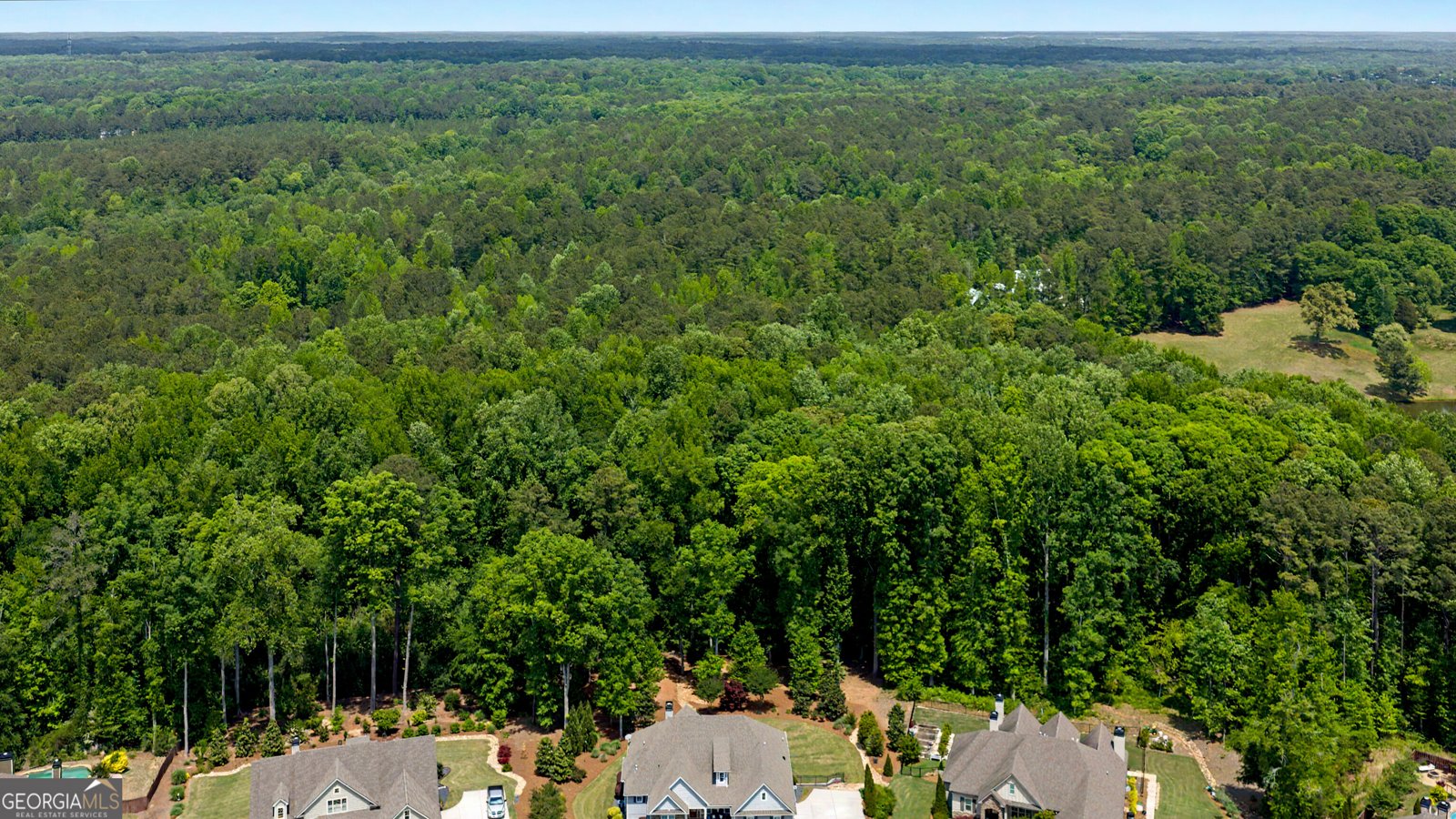 123 Big Horn Drive Newnan - Photo 46