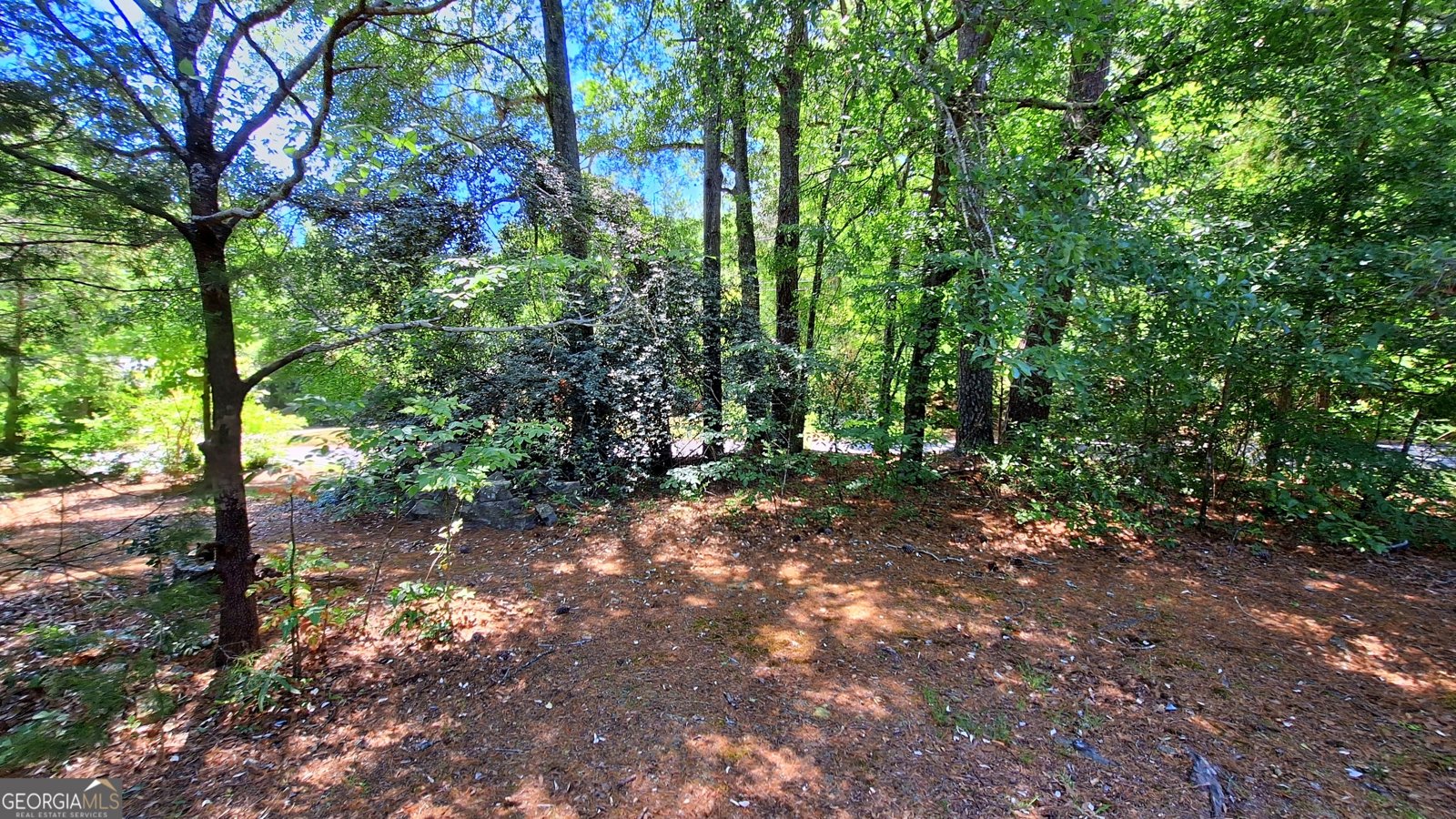 1239 Milstead Avenue Conyers - Photo 14