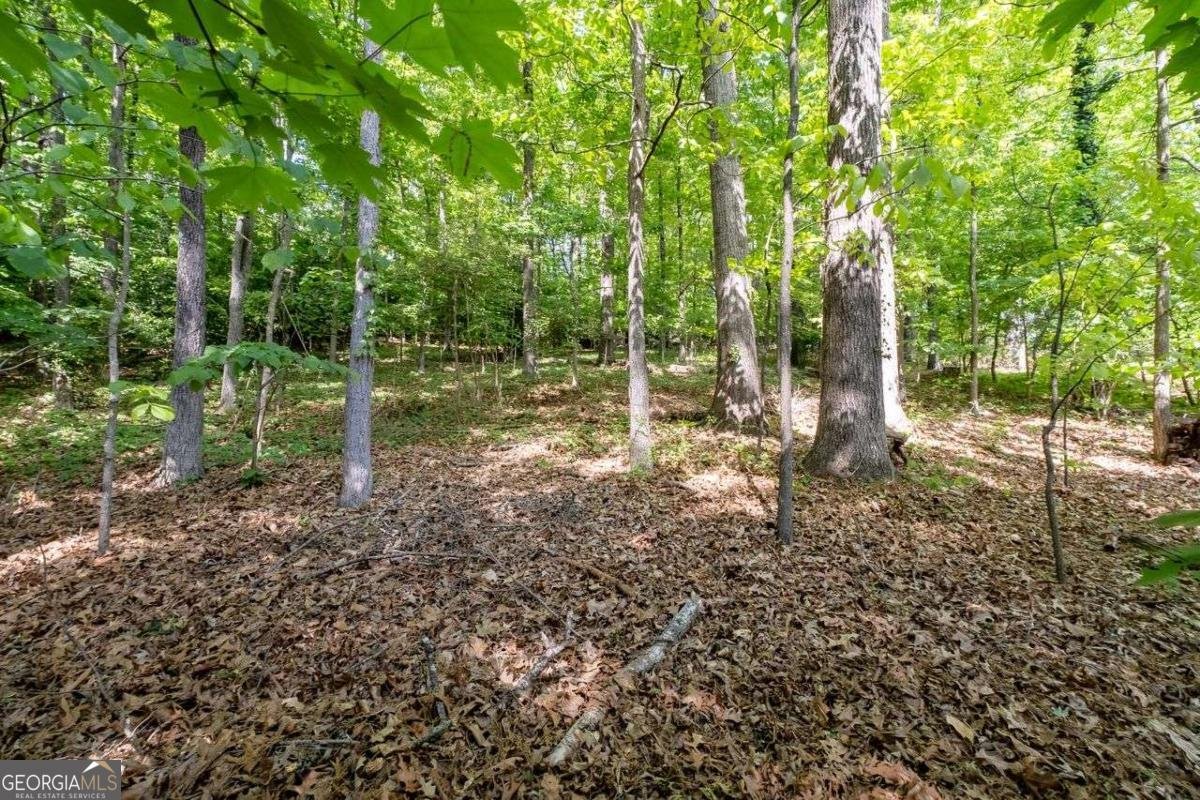 395 Nottingham Drive Marietta - Photo 43