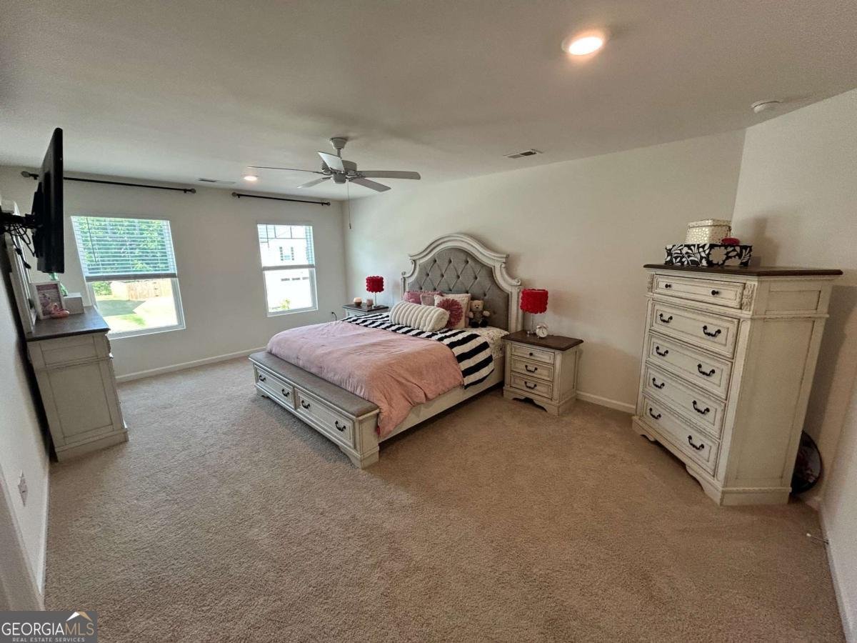 553 Daurian Road Statham - Photo 15