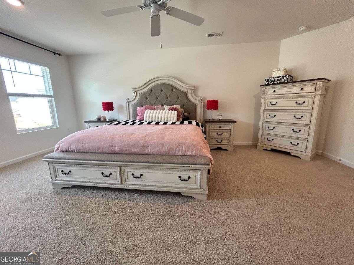 553 Daurian Road Statham - Photo 16