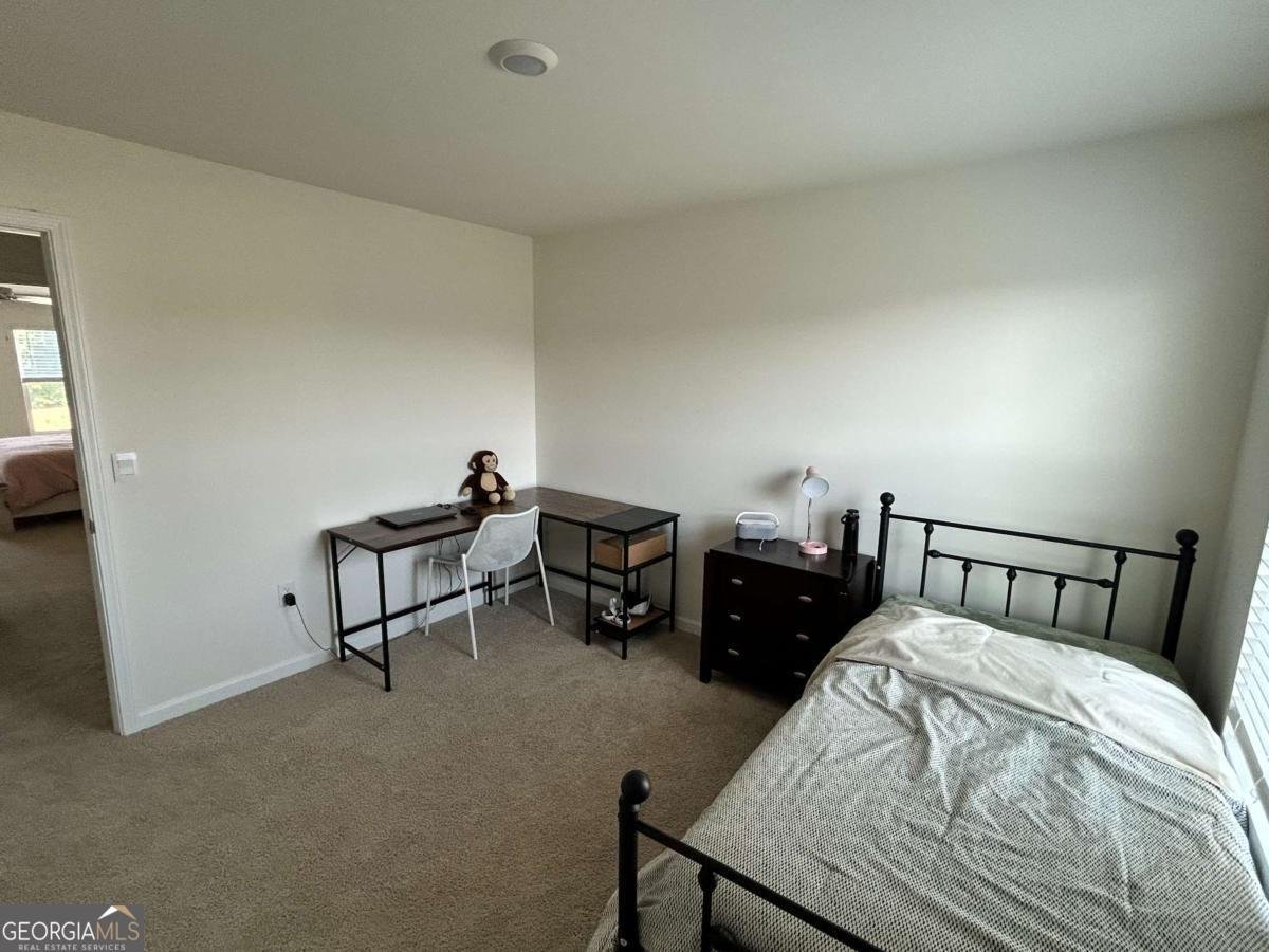 553 Daurian Road Statham - Photo 24