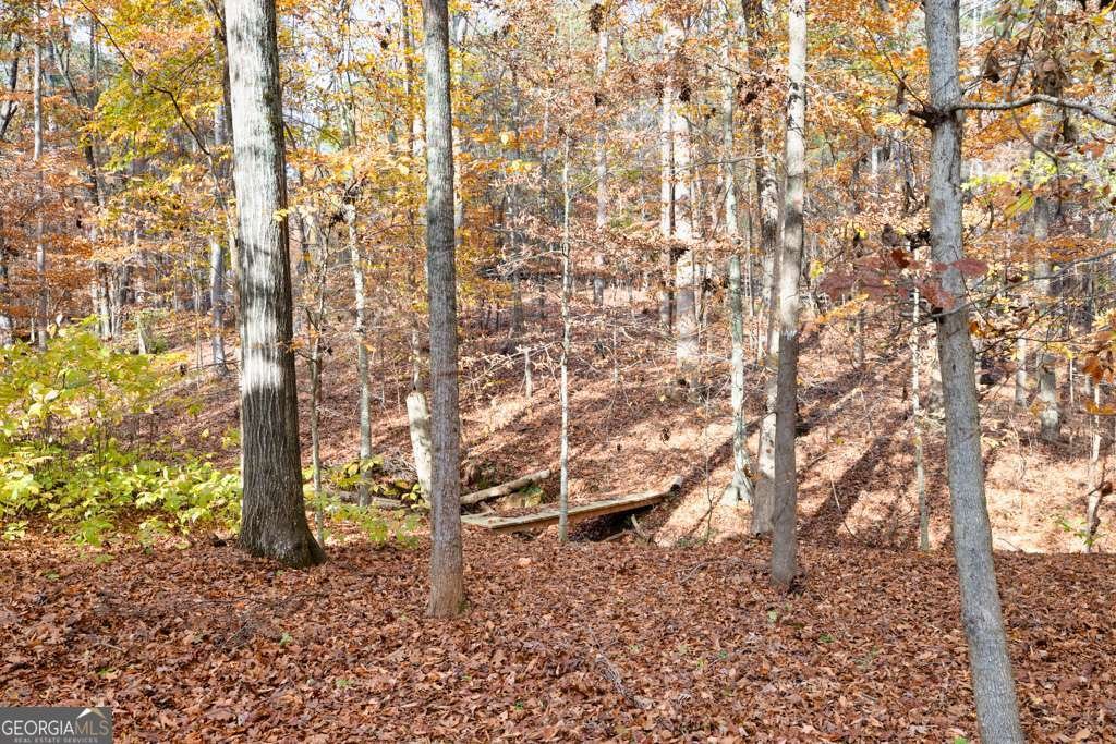 3585 Hidden Lake Drive Cumming - Photo 68