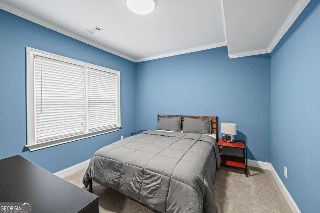 3585 Hidden Lake Drive Cumming - Photo 77