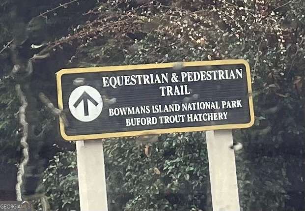 3585 Hidden Lake Drive Cumming - Photo 92