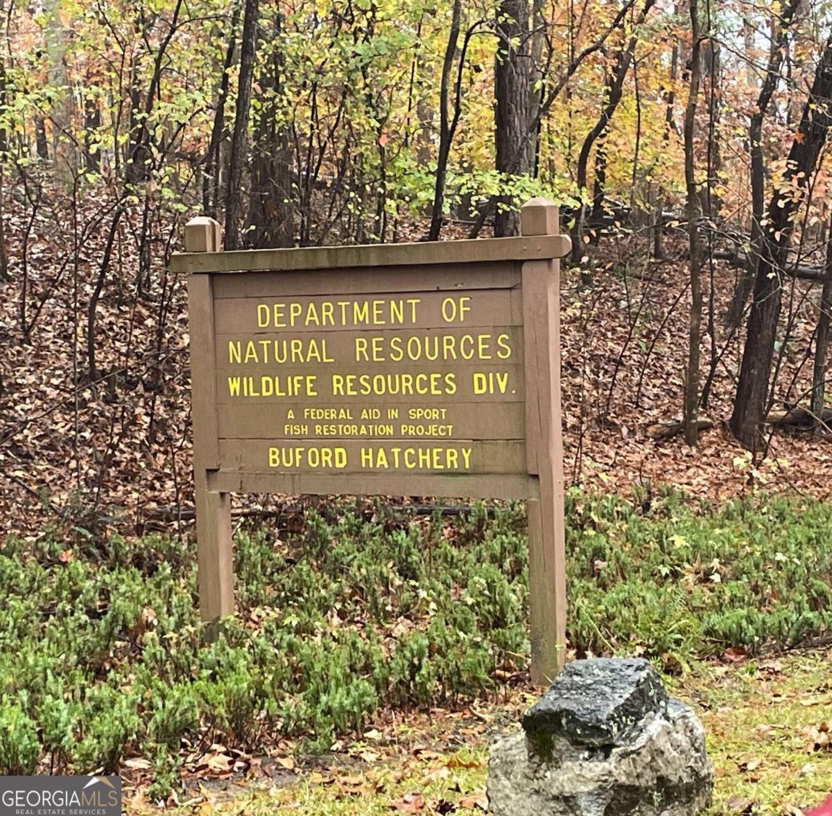 3585 Hidden Lake Drive Cumming - Photo 93