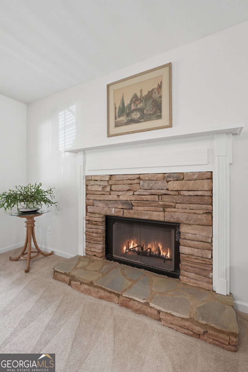 7230 Serenity Place Cumming - Photo 24