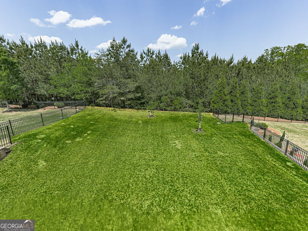 225 Windy Ridge Lane Canton - Photo 56