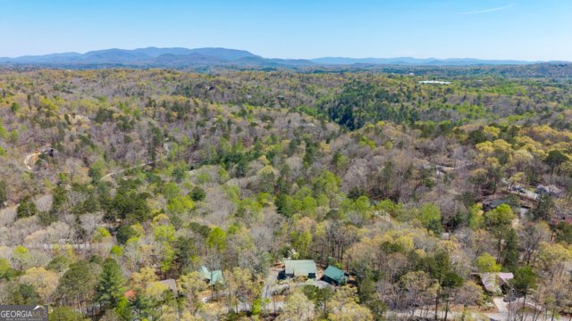 86 Armor Way Ellijay - Photo 11