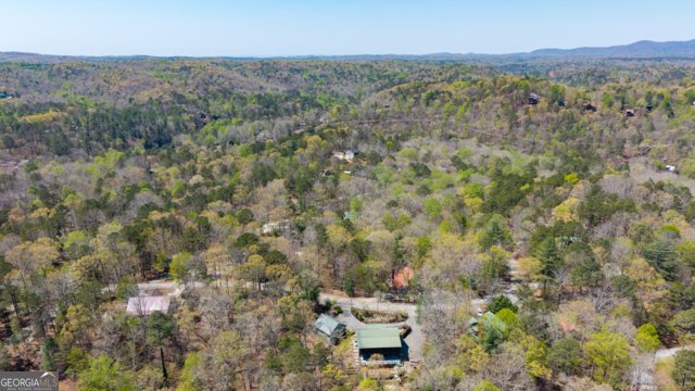 86 Armor Way Ellijay - Photo 28