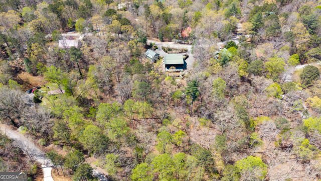 86 Armor Way Ellijay - Photo 32