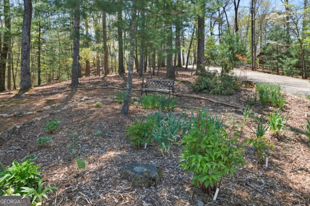 86 Armor Way Ellijay - Photo 33