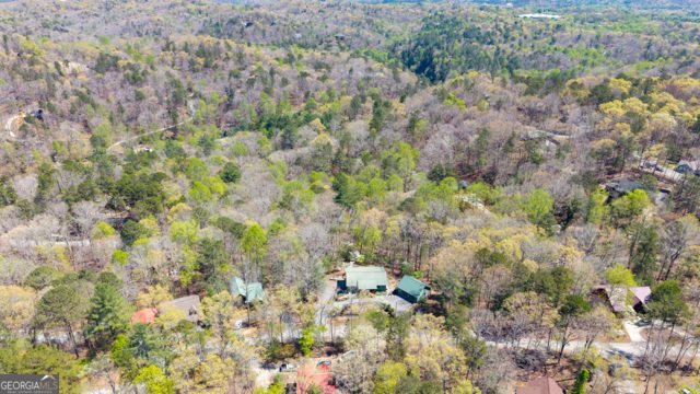 86 Armor Way Ellijay - Photo 55