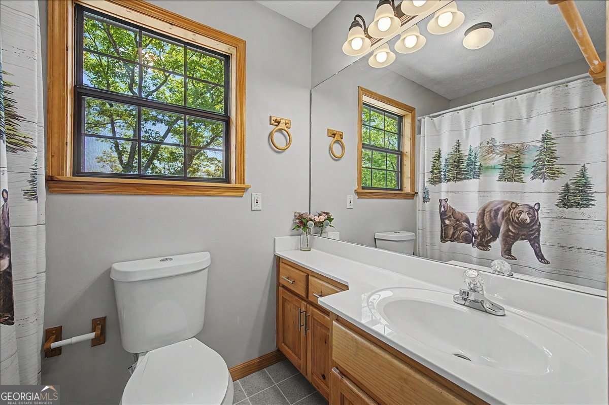 1488 Walnut Ridge Ellijay - Photo 30