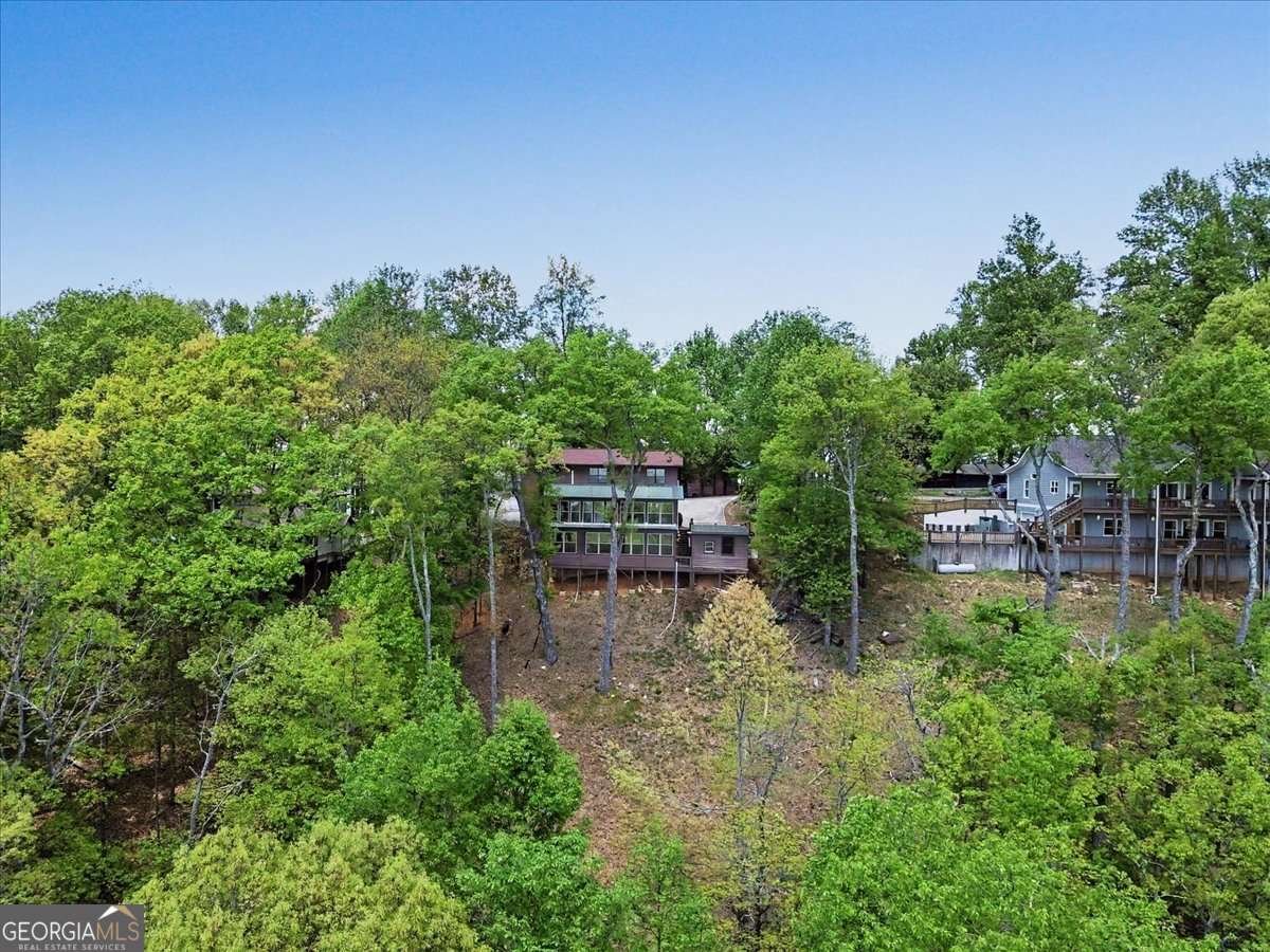 1488 Walnut Ridge Ellijay - Photo 46