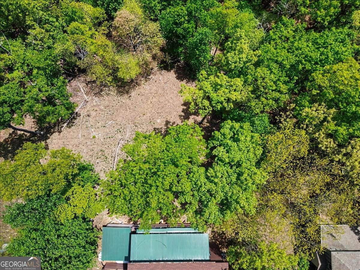 1488 Walnut Ridge Ellijay - Photo 47