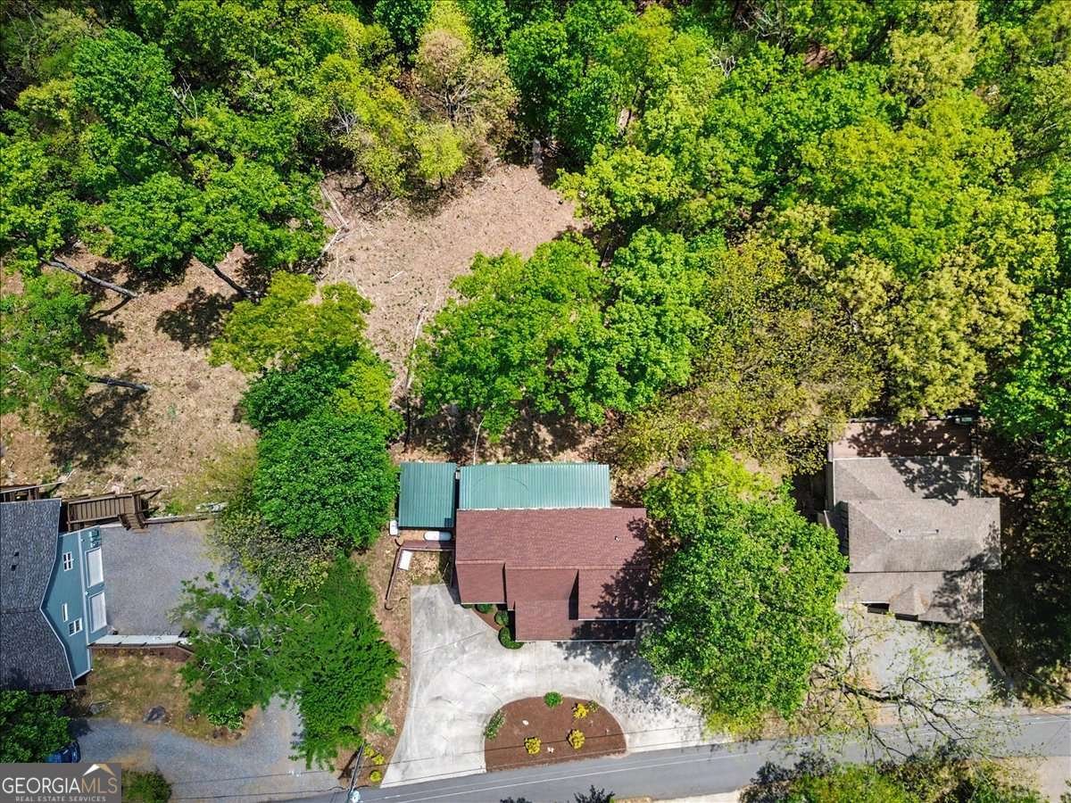 1488 Walnut Ridge Ellijay - Photo 48