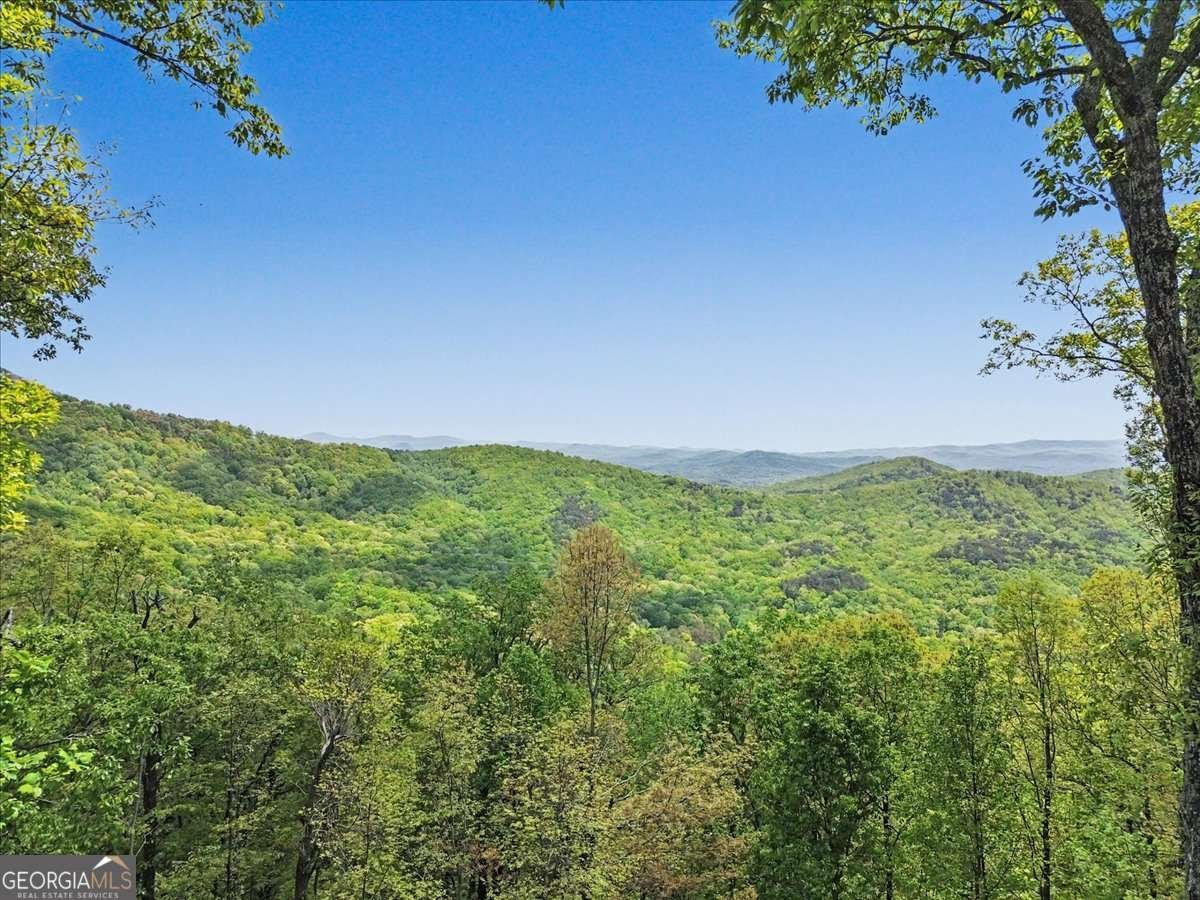 1488 Walnut Ridge Ellijay - Photo 49