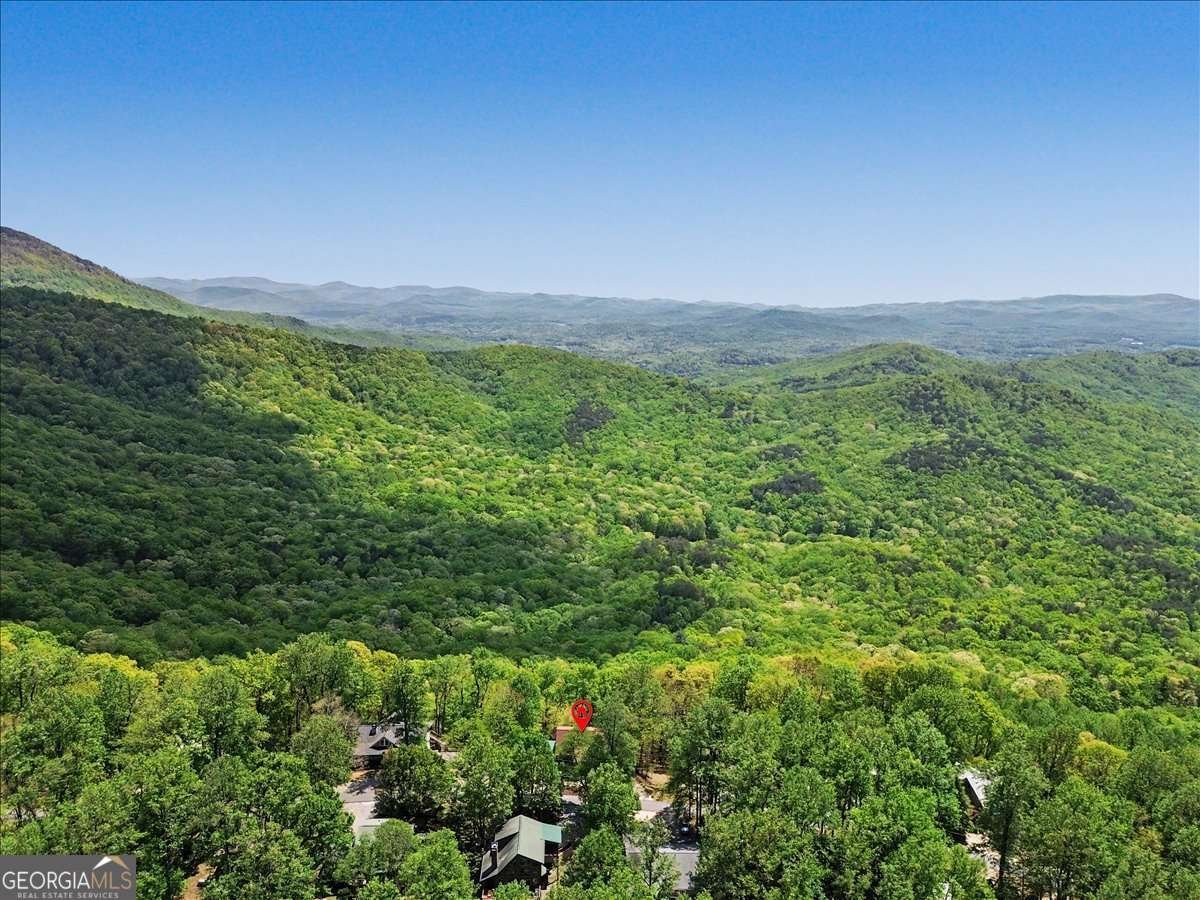 1488 Walnut Ridge Ellijay - Photo 50