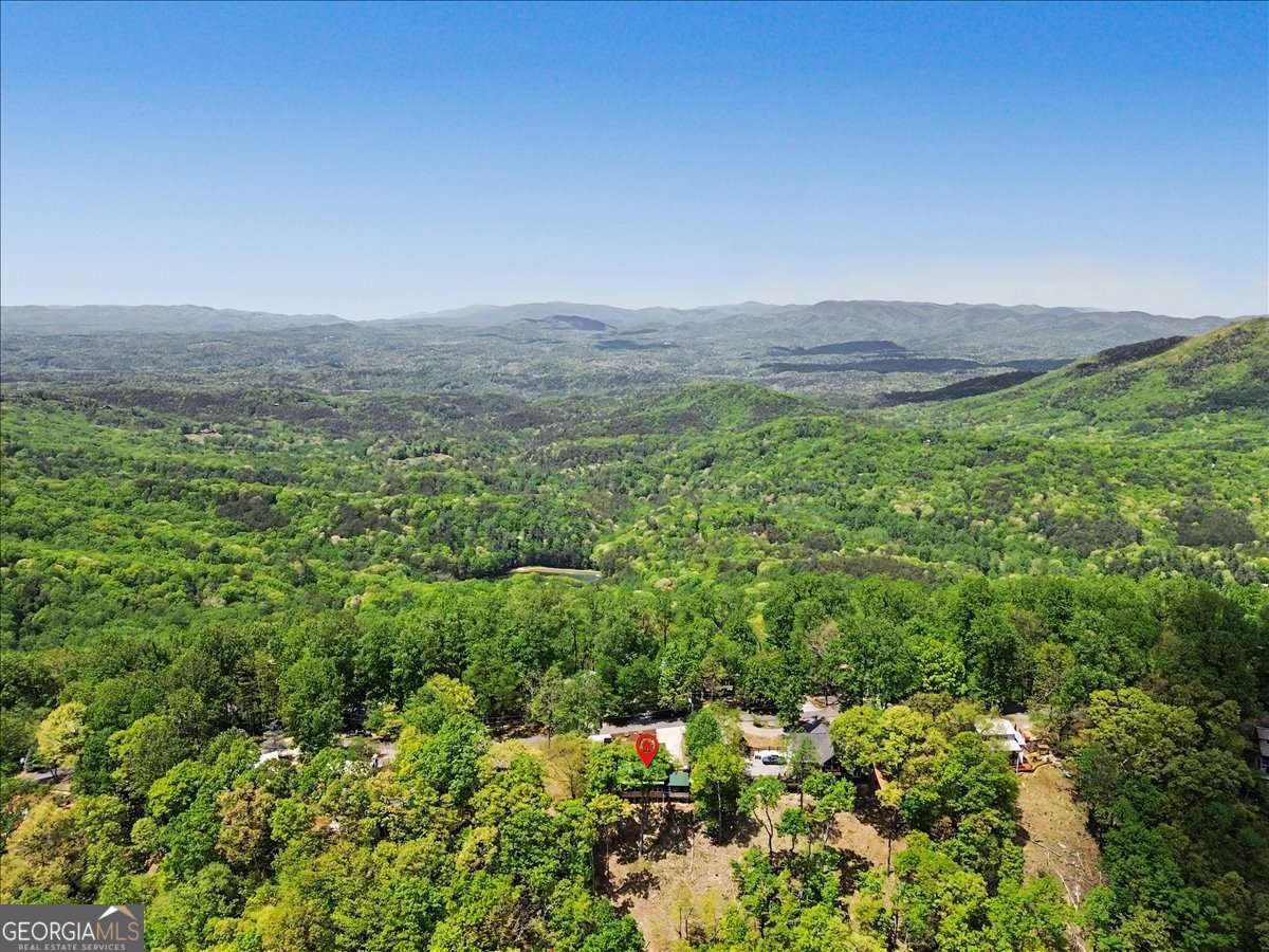 1488 Walnut Ridge Ellijay - Photo 51