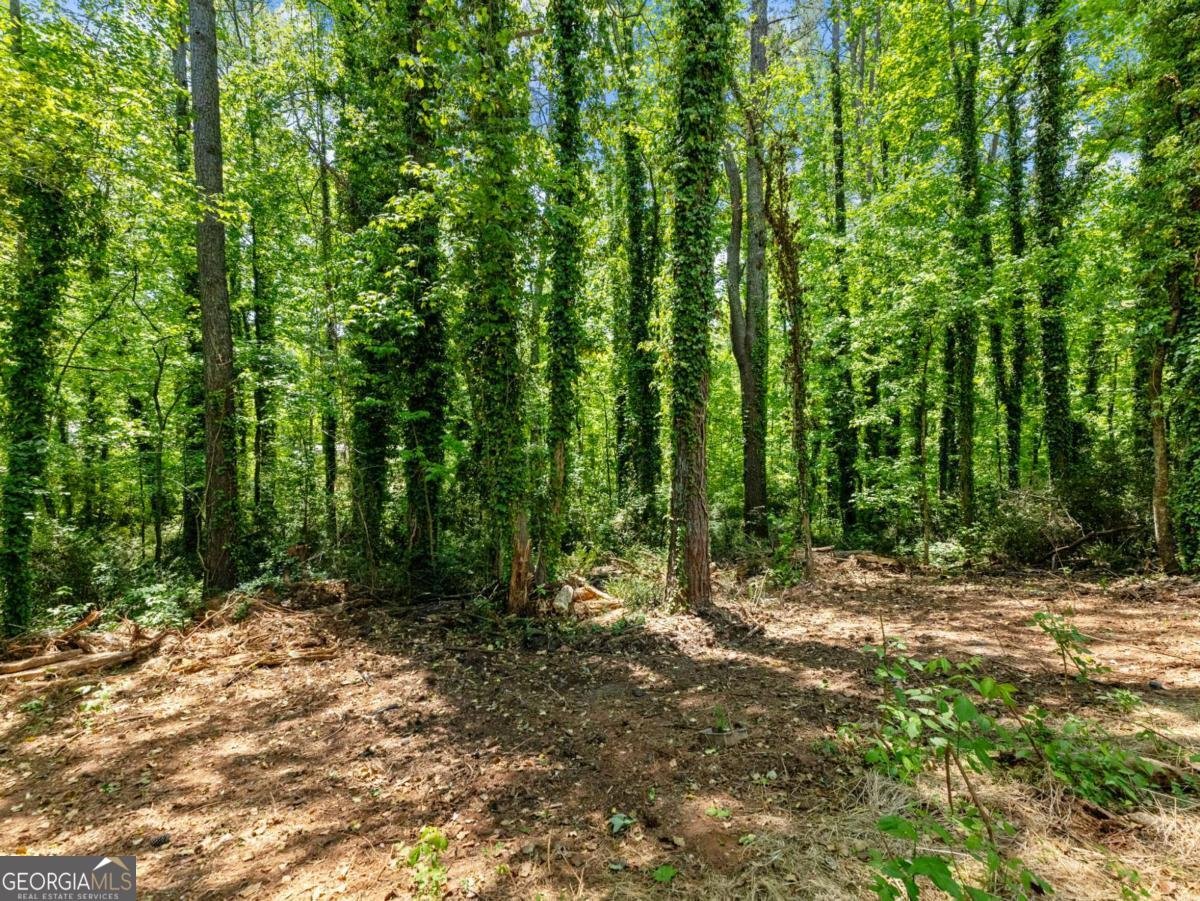 5419 Mountain Lake Terrace Gainesville - Photo 36