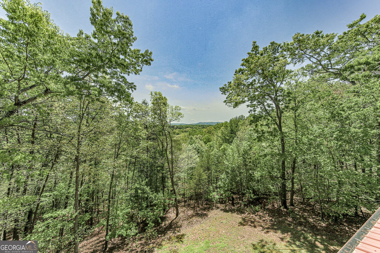 88 Black Gum Lane Blue Ridge - Photo 35