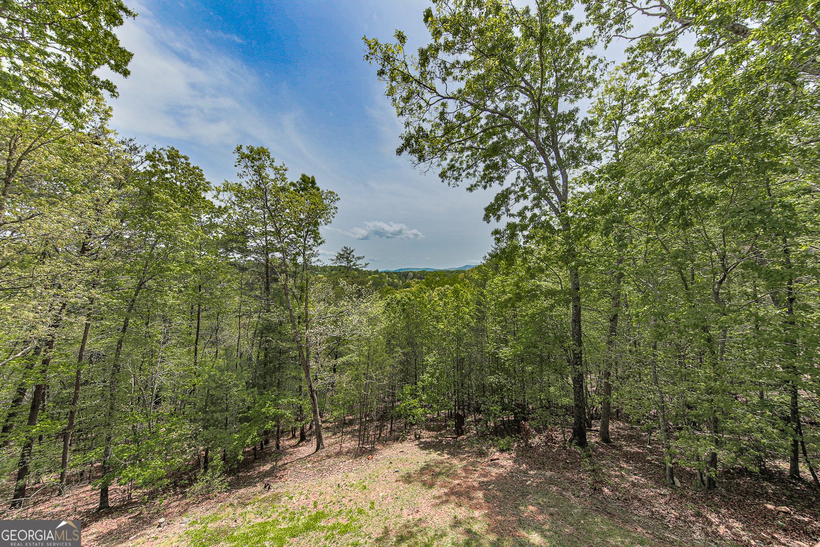 88 Black Gum Lane Blue Ridge - Photo 47