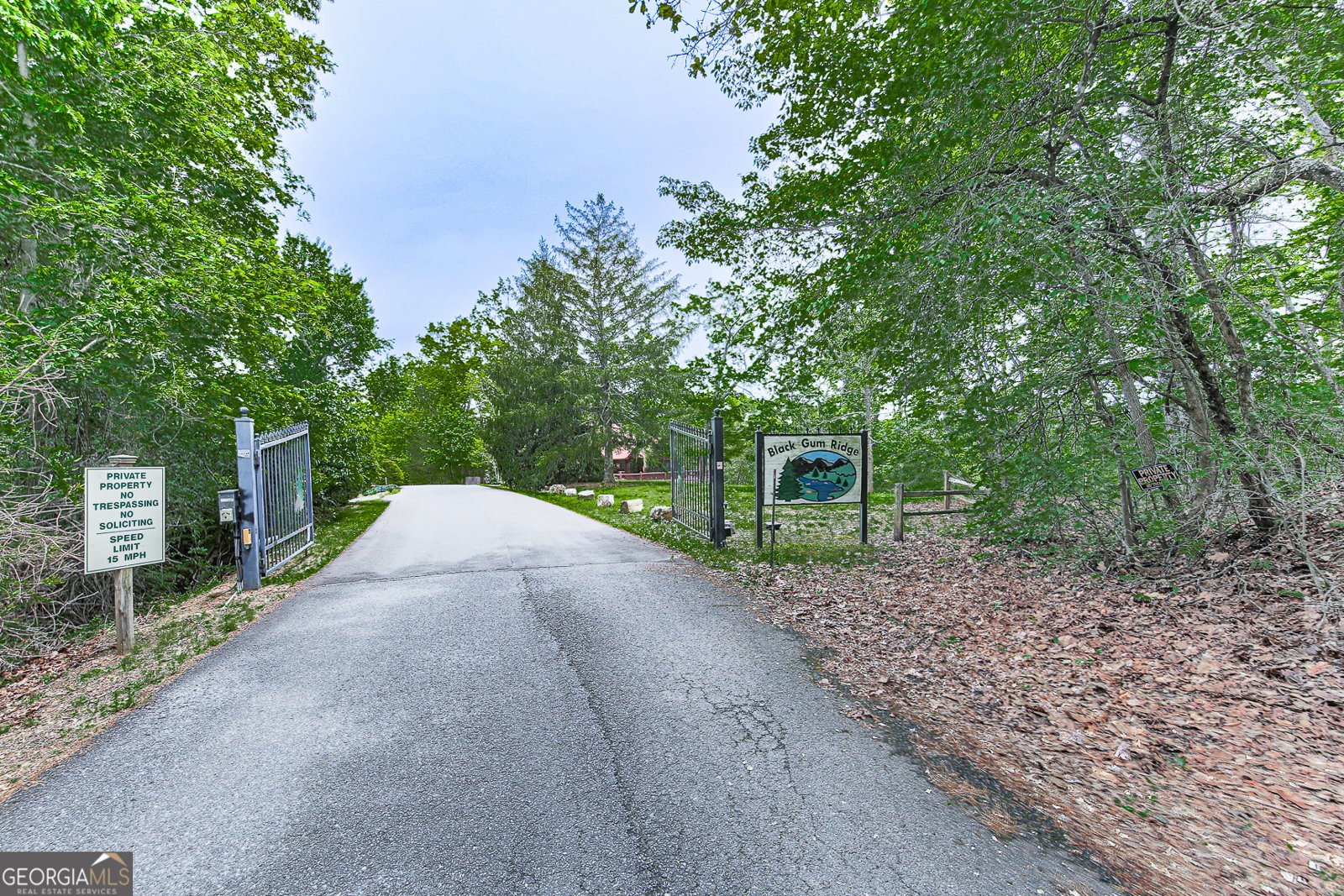 88 Black Gum Lane Blue Ridge - Photo 63