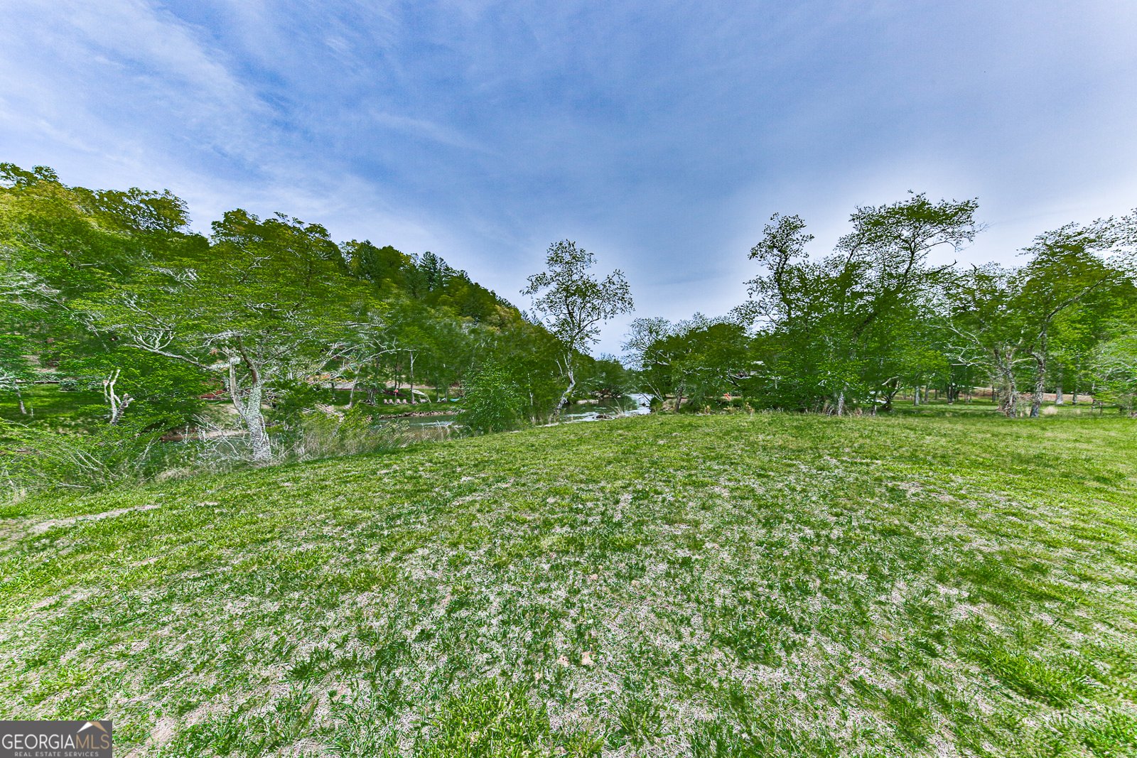 88 Black Gum Lane Blue Ridge - Photo 73