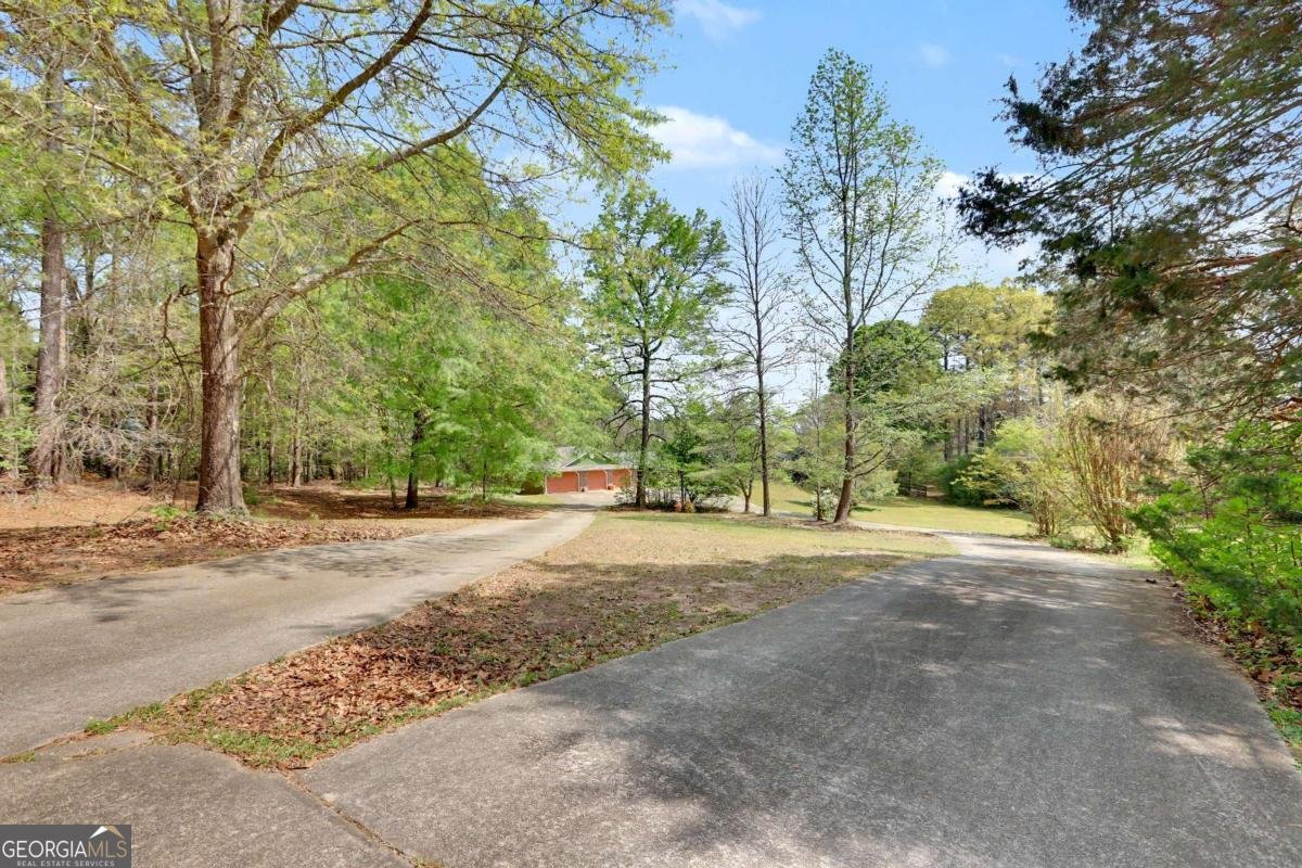 3154 Spring Lake Drive Conyers - Photo 49