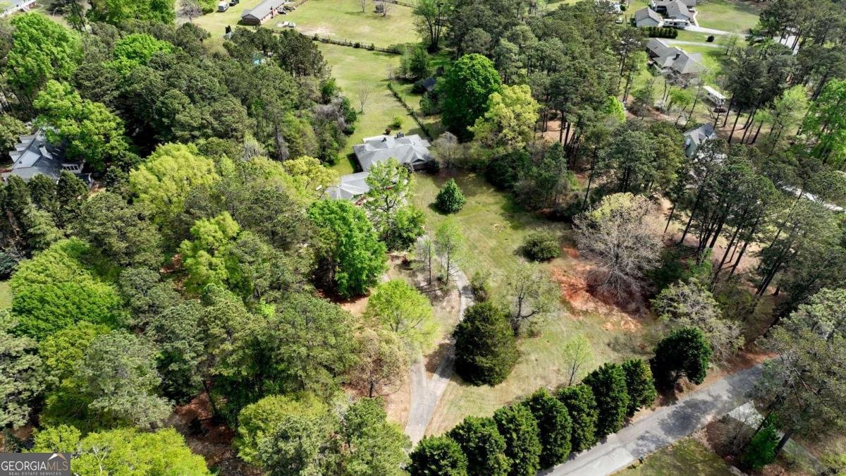 3154 Spring Lake Drive Conyers - Photo 51