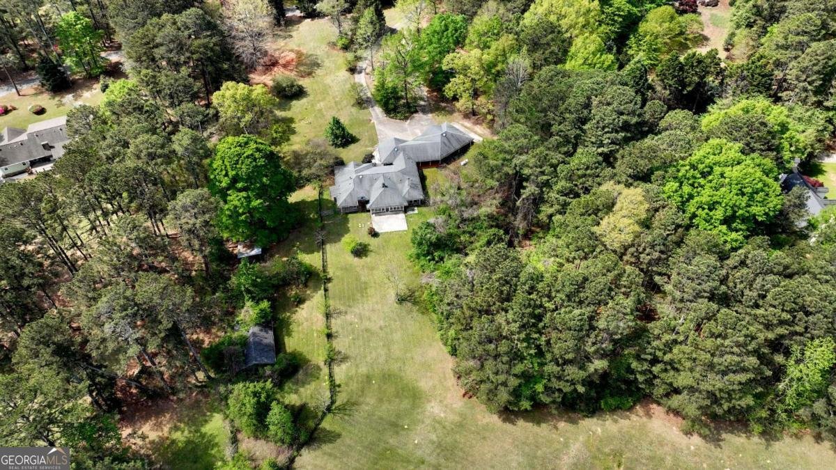 3154 Spring Lake Drive Conyers - Photo 55