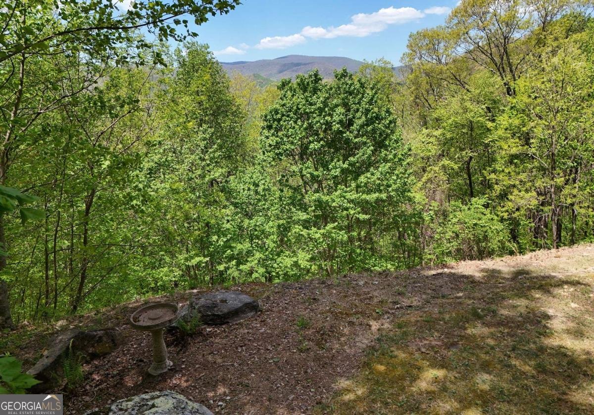 327 Prospectors Pass Ellijay - Photo 26