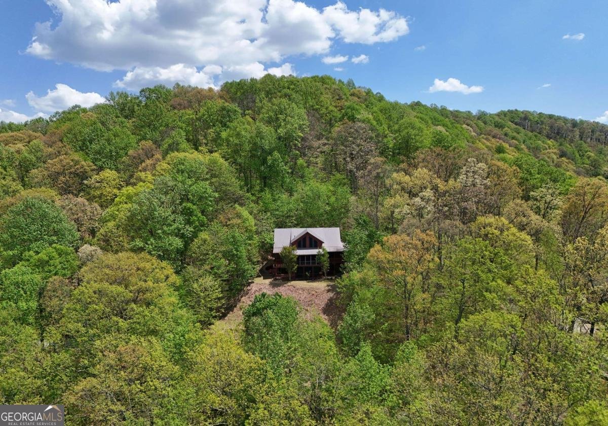 327 Prospectors Pass Ellijay - Photo 37