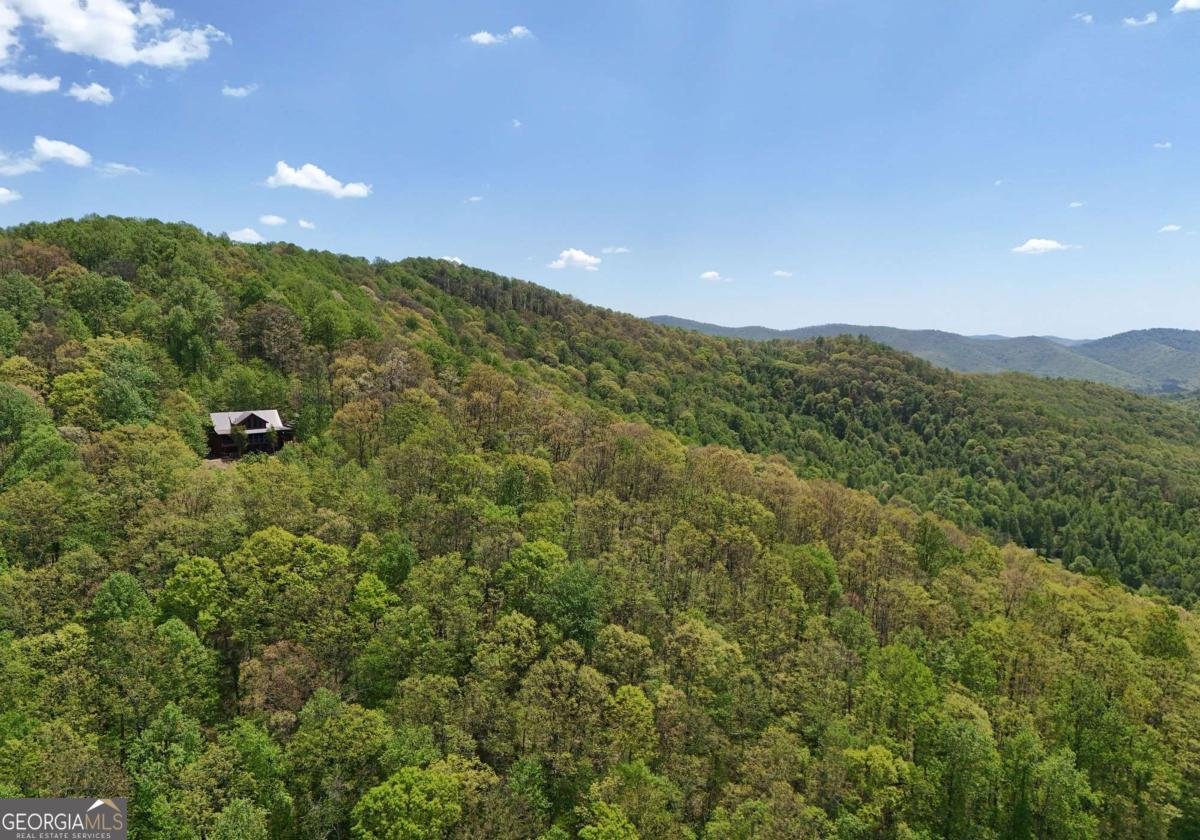 327 Prospectors Pass Ellijay - Photo 38