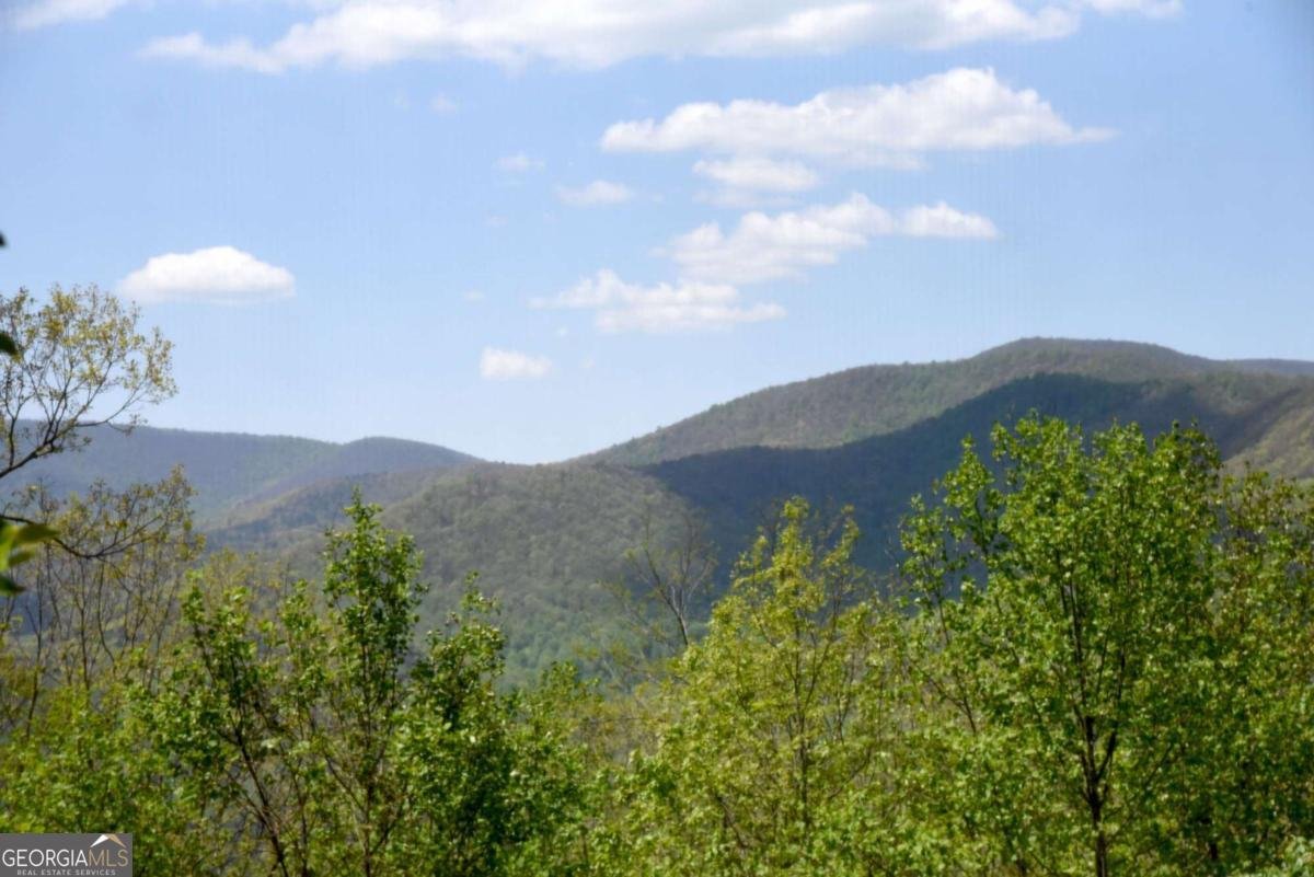327 Prospectors Pass Ellijay - Photo 39