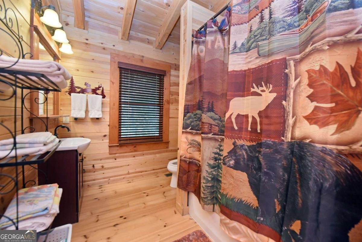 327 Prospectors Pass Ellijay - Photo 54