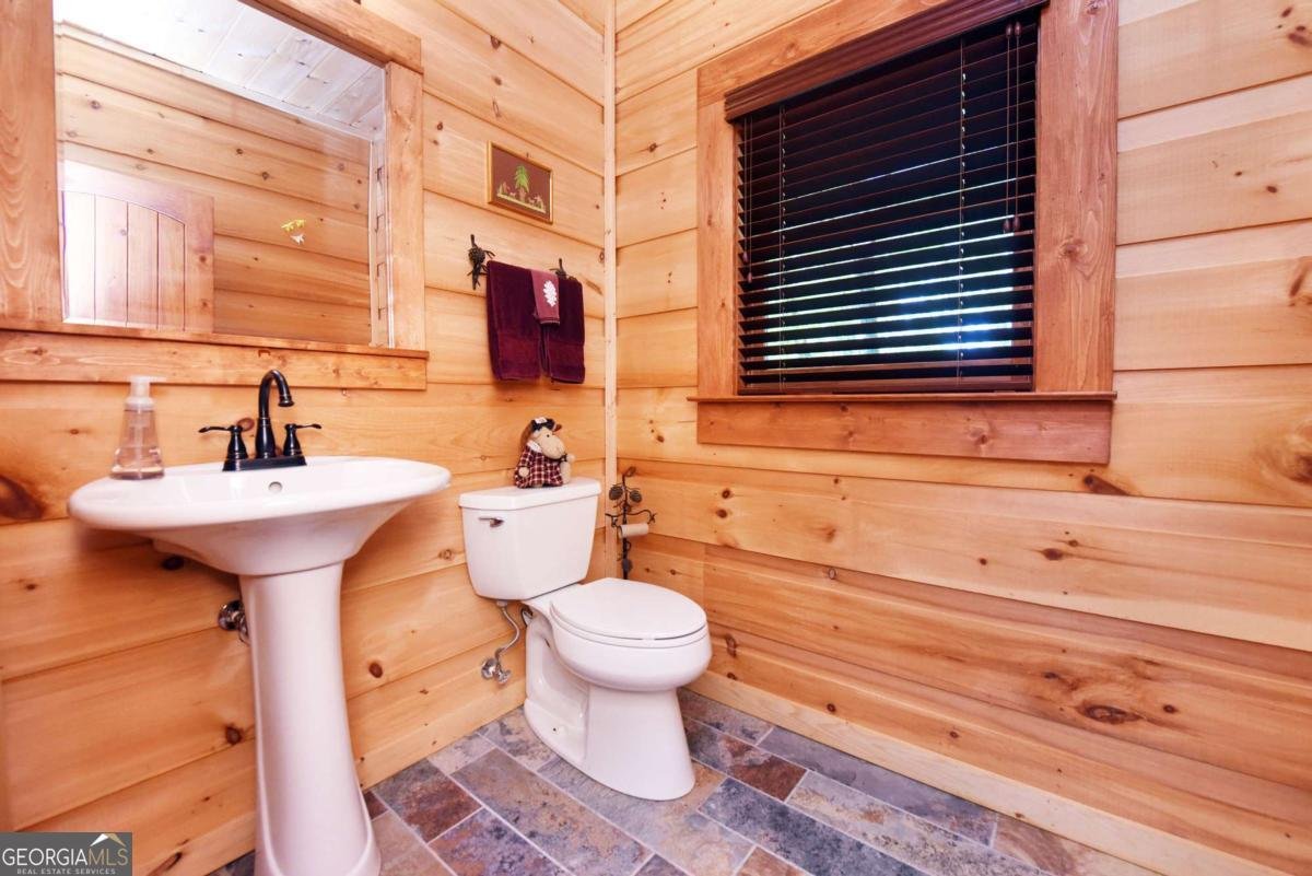 327 Prospectors Pass Ellijay - Photo 67